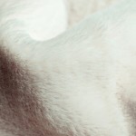 Tkanina obiciowa - materiał tapicerski LAPIT23, 315 g/m2, szer. 140 cm, beżowa