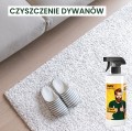 Info_Grafiki  04_Carpet Cleaner.jpg
