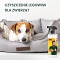 Info_Grafiki  05_Carpet Cleaner.jpg