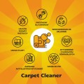 Info_Grafiki  03_Carpet Cleaner.jpg